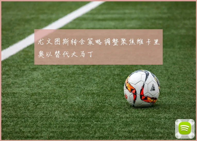 尤文图斯转会策略调整聚焦维卡里奥以替代大马丁