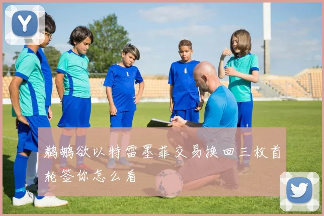 鹈鹕欲以特雷墨菲交易换回三枚首轮签你怎么看