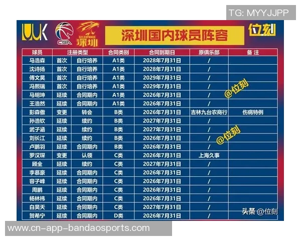 伤病困扰下的NBA最佳阵容变动詹姆斯等三名球员恐难入选本赛季名单